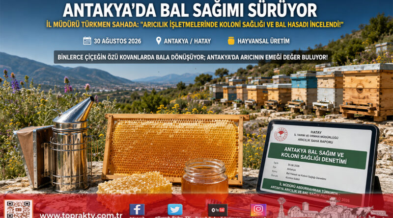 Antakya’da Bal Sağım Sezonu: İl Müdürü Türkmen Arılık İşletmelerinde Üretimi Yerinde İnceledi!…