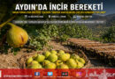 Bakan Yumaklı’dan Aydın İncirine Özel Mesaj: “Dünyaya Nam Salan Bal Gibi Şifa Kaynağımız Üreticimizin Alın Teriyle Toplandı!”…