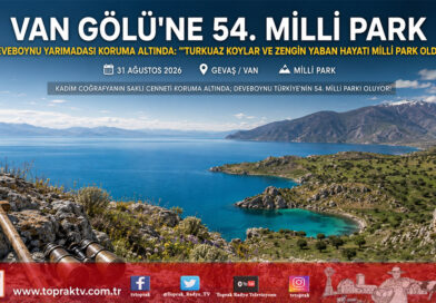 Van Gölü Havzası’nda Tarihi Koruma Kararı: Deveboynu Yarımadası Türkiye’nin 54. Milli Parkı İlan Edildi!…