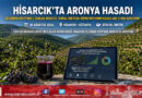 Kütahya Hisarcık’ta Tıbbi ve Aromatik Bitki Mesaisi: Güldüren Köyü’nde Aronya Hasadı Başladı!…