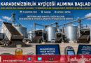 Yağlı Tohumlarda Hasat Mesaisi: KARADENİZBİRLİK 2026 Sezonu Ayçiçeği Alımlarına Başladı!…
