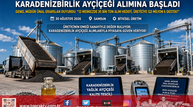Yağlı Tohumlarda Hasat Mesaisi: KARADENİZBİRLİK 2026 Sezonu Ayçiçeği Alımlarına Başladı!…
