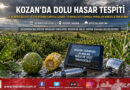 Çukurova’da Dolu Afeti: Kozan’ın 6 Mahallesinde İl Müdürü Bayazıt ve İlçe Müdürü Karataş Hasar Tespitine Başladı!…