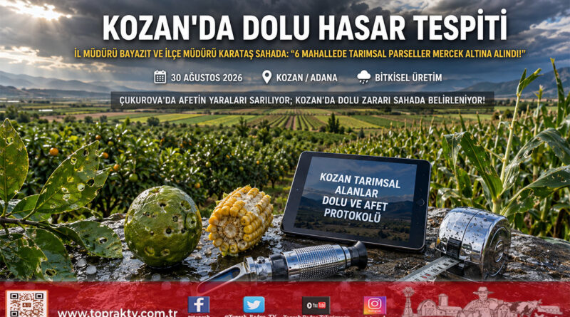 Çukurova’da Dolu Afeti: Kozan’ın 6 Mahallesinde İl Müdürü Bayazıt ve İlçe Müdürü Karataş Hasar Tespitine Başladı!…