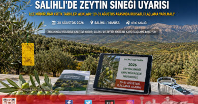 Salihli’de Zeytin Sineği Alarmı: İlçe Müdürlüğü 29-31 Ağustos Tarihleri İçin İlaçlama Uyarısı Yaptı!…