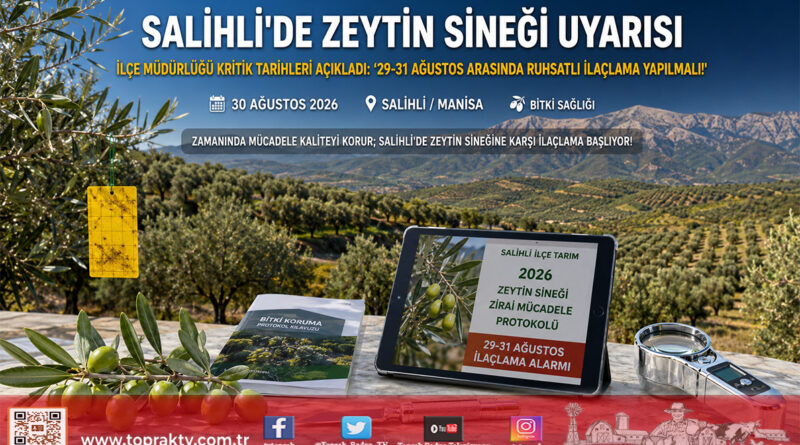 Salihli’de Zeytin Sineği Alarmı: İlçe Müdürlüğü 29-31 Ağustos Tarihleri İçin İlaçlama Uyarısı Yaptı!…