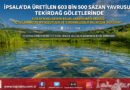 İpsala’da Üretilen 603 Bin 500 Pullu Sazan Yavrusu Tekirdağ Göletlerine Bırakılıyor!…