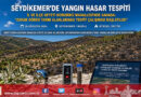 Seydikemer Korubükü’nde Yangın Sonrası Saha Mesaisi: İl ve İlçe Müdürlüğü Heyeti Zarar Gören Tarım Parsellerinde İncelemede!…