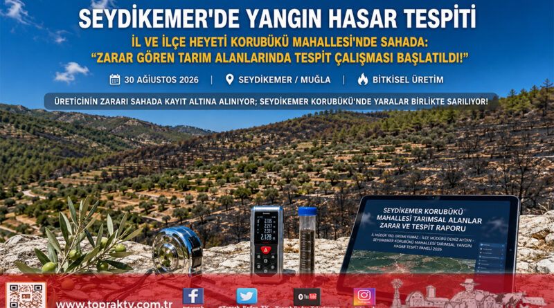 Seydikemer Korubükü’nde Yangın Sonrası Saha Mesaisi: İl ve İlçe Müdürlüğü Heyeti Zarar Gören Tarım Parsellerinde İncelemede!…