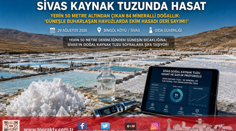 Yerin 50 Metre Derinliğinden Sofralara: Sivas’ta 84 Mineralli Doğal Kaynak Tuzunda Hasat İçin Gün Sayılıyor!…