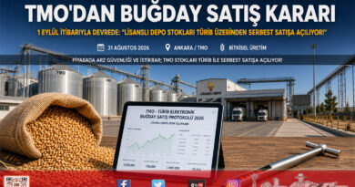 TMO’dan Piyasayı Rahatlatacak Kritik Adım: Lisanslı Depolardaki Buğday Stokları 1 Eylül’den İtibaren TÜRİB’de Serbest Satışa Açılıyor!…