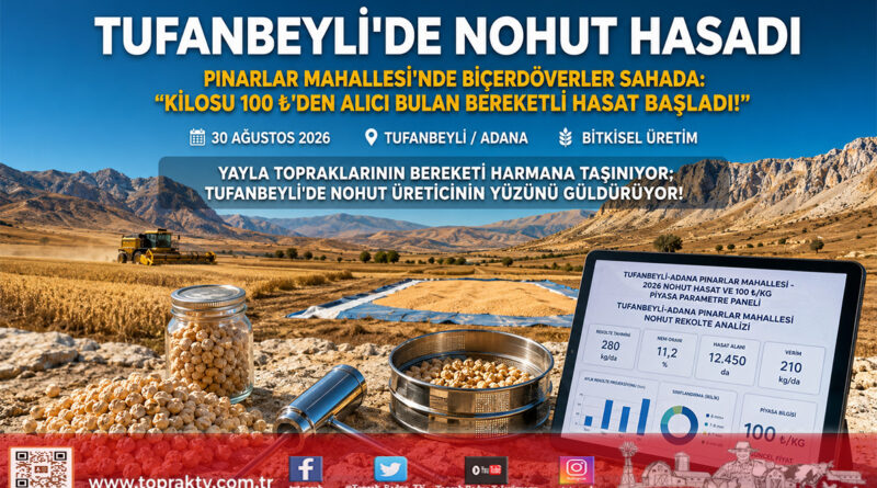 Çukurova’nın Yüksek Rakımında Bakliyat Bereketi: Tufanbeyli Pınarlar Mahallesi’nde Nohut Hasadı Başladı!…
