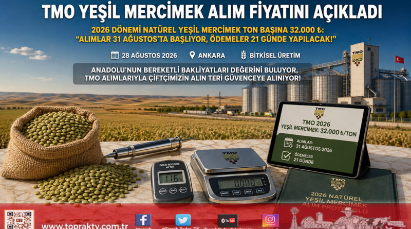 TMO 2026 Dönemi Yeşil Mercimek Alım Fiyatını Açıkladı: Ton Başına 32.000 ₺!…