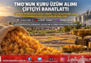 Alaşehir’de Kuru Üzüm Üreticisine TMO Nefesi: Tüccarın 50-60 ₺ Baskısına Karşı Müdahale Alımı Başlıyor!…