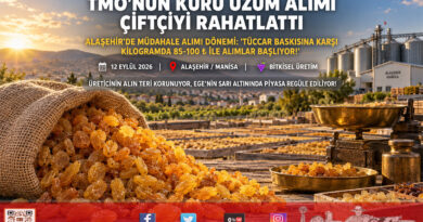 Alaşehir’de Kuru Üzüm Üreticisine TMO Nefesi: Tüccarın 50-60 ₺ Baskısına Karşı Müdahale Alımı Başlıyor!…