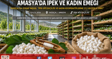 Amasya’da Tarihi İpek Yolu Mirası Canlanıyor: İpek Böcekçiliği ve Kadın Kooperatiflerine 21,2 Milyon ₺ Değerinde DOKAP Desteği!…