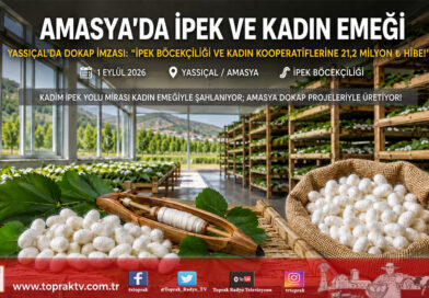 Amasya’da Tarihi İpek Yolu Mirası Canlanıyor: İpek Böcekçiliği ve Kadın Kooperatiflerine 21,2 Milyon ₺ Değerinde DOKAP Desteği!…