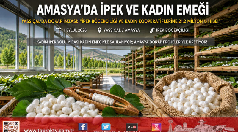 Amasya’da Tarihi İpek Yolu Mirası Canlanıyor: İpek Böcekçiliği ve Kadın Kooperatiflerine 21,2 Milyon ₺ Değerinde DOKAP Desteği!…
