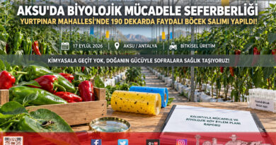 Antalya Aksu’da Kalıntıya Geçit Yok: Yurtpınar Mahallesi Biyolojik Mücadele Köyü Oluyor!…