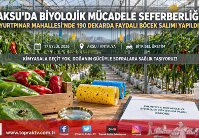 Antalya Aksu’da Kalıntıya Geçit Yok: Yurtpınar Mahallesi Biyolojik Mücadele Köyü Oluyor!…