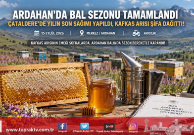 Ardahan’da Kafkas Arısının Şifalı Sezon Finali: Çataldere’de Yılın Son Bal Sağımı Yapıldı!…