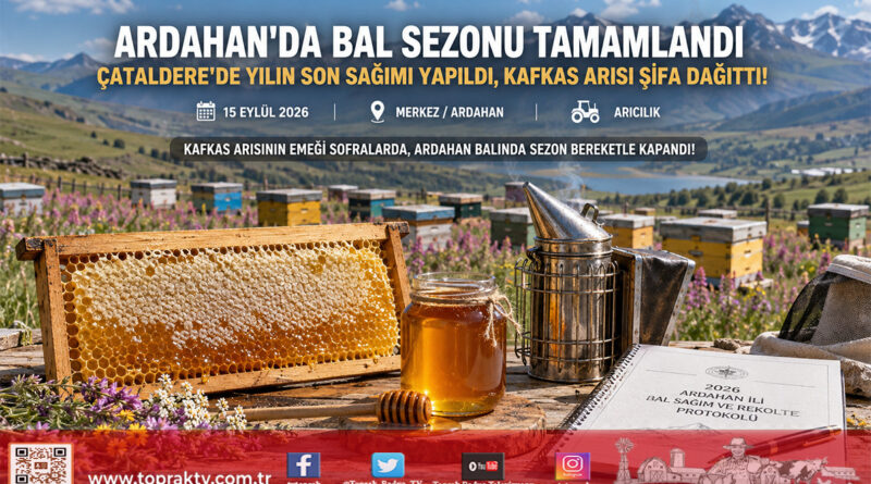 Ardahan’da Kafkas Arısının Şifalı Sezon Finali: Çataldere’de Yılın Son Bal Sağımı Yapıldı!…