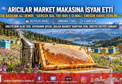 Arıcılar Market Makasına İsyan Etti: TAB Başkanı Ali Demir’den 3 Kat Fiyat Farkına Tepki ve “Arı Bakıcısı Desteği” Çağrısı!…