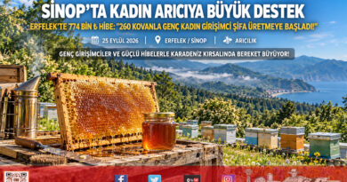 Kırsal Kalkınmada Kadın Eli: Sinop Erfelek’te Genç Arıcıya 774 Bin ₺ Hibe İle 260 Kovanlık Üretim Tesisi!…