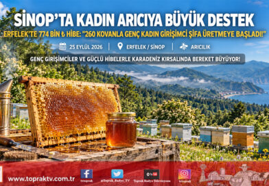 Kırsal Kalkınmada Kadın Eli: Sinop Erfelek’te Genç Arıcıya 774 Bin ₺ Hibe İle 260 Kovanlık Üretim Tesisi!…