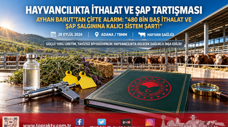 Kırmızı Et ve Hayvan Sağlığında Çifte Tartışma: Barut’tan 480 Bin Başlık İthalat Planı ve Şap Salgınına Kapsamlı Değerlendirme!…