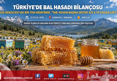 Türkiye’de Bal Hasadı Bilançosu Açıklandı: 2026 Üretiminin 100 Bin Tona Ulaşması Bekleniyor!…