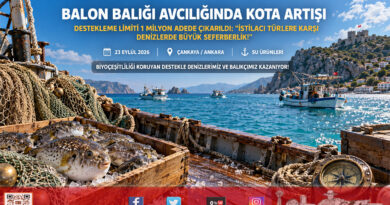 Denizlerimizde İstilacı Türlere Karşı Büyük Seferberlik: Balon Balığı Avcılığı Destekleme Limiti 1 Milyon Adede Çıkarıldı!…