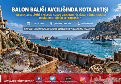 Denizlerimizde İstilacı Türlere Karşı Büyük Seferberlik: Balon Balığı Avcılığı Destekleme Limiti 1 Milyon Adede Çıkarıldı!…