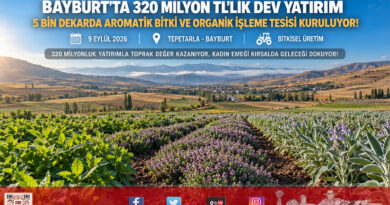 Bayburt’ta Tıbbi ve Aromatik Bitkilerde Dev Atılım: 320 Milyon ₺’lik Yatırımla 5 Bin Dekar Üretim ve İşleme Tesisi Geliyor!…
