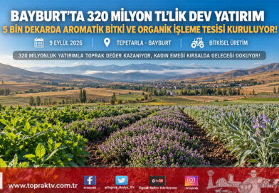 Bayburt’ta Tıbbi ve Aromatik Bitkilerde Dev Atılım: 320 Milyon ₺’lik Yatırımla 5 Bin Dekar Üretim ve İşleme Tesisi Geliyor!…