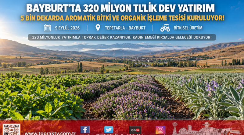 Bayburt’ta Tıbbi ve Aromatik Bitkilerde Dev Atılım: 320 Milyon ₺’lik Yatırımla 5 Bin Dekar Üretim ve İşleme Tesisi Geliyor!…