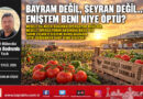 Bayram Değil, Seyran Değil… Eniştem Beni Niye Öptü?…