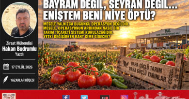 Bayram Değil, Seyran Değil… Eniştem Beni Niye Öptü?…