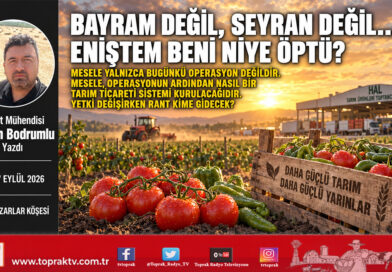 Bayram Değil, Seyran Değil… Eniştem Beni Niye Öptü?…