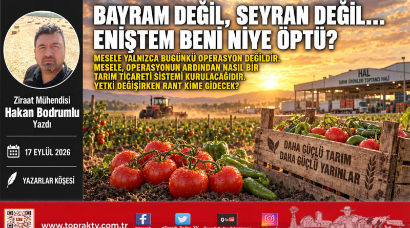 Bayram Değil, Seyran Değil… Eniştem Beni Niye Öptü?…