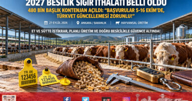 Kırmızı Et Piyasasında İthalat Takvimi Netleşti: 2027 Yılı İçin 480 Bin Baş Besilik Erkek Sığır İthalatı Planlandı!…