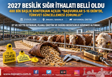 Kırmızı Et Piyasasında İthalat Takvimi Netleşti: 2027 Yılı İçin 480 Bin Baş Besilik Erkek Sığır İthalatı Planlandı!…