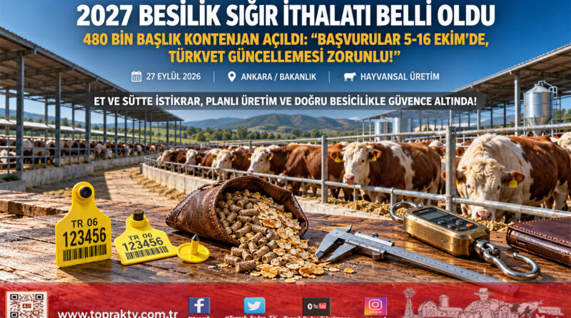 Kırmızı Et Piyasasında İthalat Takvimi Netleşti: 2027 Yılı İçin 480 Bin Baş Besilik Erkek Sığır İthalatı Planlandı!…