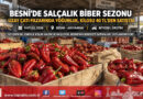 Besni’de Kışlık Salça Sezonu Açıldı: Uzay Çatı’da Biber Hareketliliği, Kilosu 40 ₺’den Satışta!…