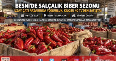 Besni’de Kışlık Salça Sezonu Açıldı: Uzay Çatı’da Biber Hareketliliği, Kilosu 40 ₺’den Satışta!…