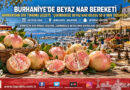 Burhaniye Pazarında Ata Tohumu Bereketi: Havranlı Üreticinin Çekirdeksiz Beyaz Narı Kilogramı 50 ₺’den İlgi Görüyor!…
