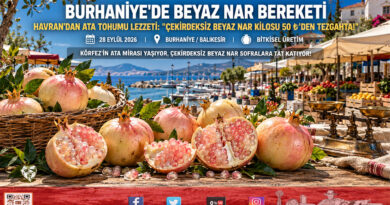 Burhaniye Pazarında Ata Tohumu Bereketi: Havranlı Üreticinin Çekirdeksiz Beyaz Narı Kilogramı 50 ₺’den İlgi Görüyor!…