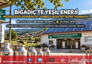 Bigadiç’te Kooperatife Yeşil Enerji Gücü: Mecidiye Köyü Güneşten Elektrik Üretimine Başladı!…