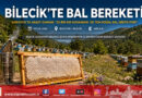 Bilecik’te Arıcılık Bereketi: 22 Bin 500 Kovanda Yılda 135 Ton Bal Üretiliyor!…