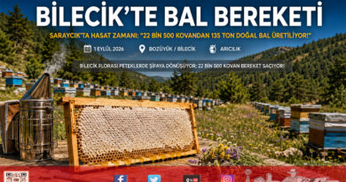 Bilecik’te Arıcılık Bereketi: 22 Bin 500 Kovanda Yılda 135 Ton Bal Üretiliyor!…
